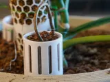 RootDock Planter - Direct-to-Soil Propagation Pod-0