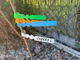 Waterproof plant markers, plastic plant hangers, garden plan-0