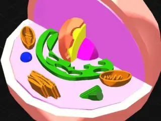 Cell / Célula