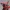 PICACHU COSPLAY DEADPOOL-DESPIECE-NOAMS