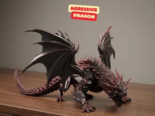 AGRESSIVE DRAGON