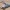 155 mm SpGH Zuzana