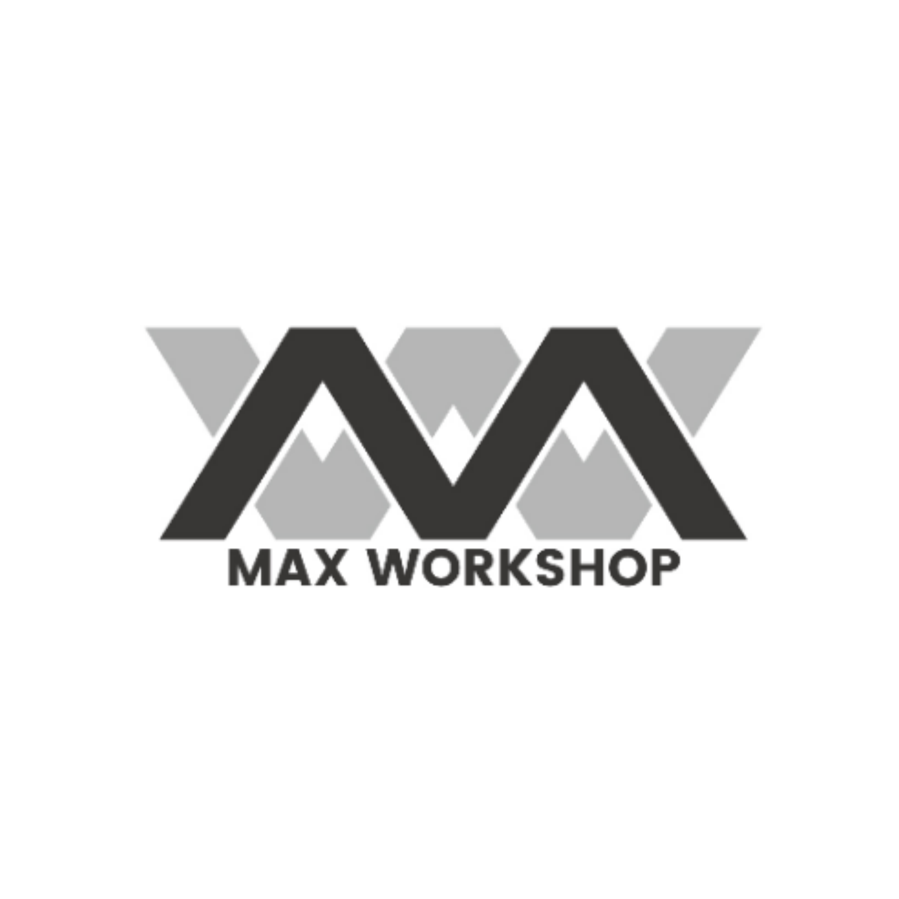 avatar of MAX WORKSHOP