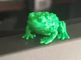 toad fat frog-0