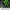 Monster Energy 3D Keychain | Sports / Racing Accessory