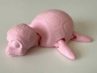 Cute flexi turtle print in place