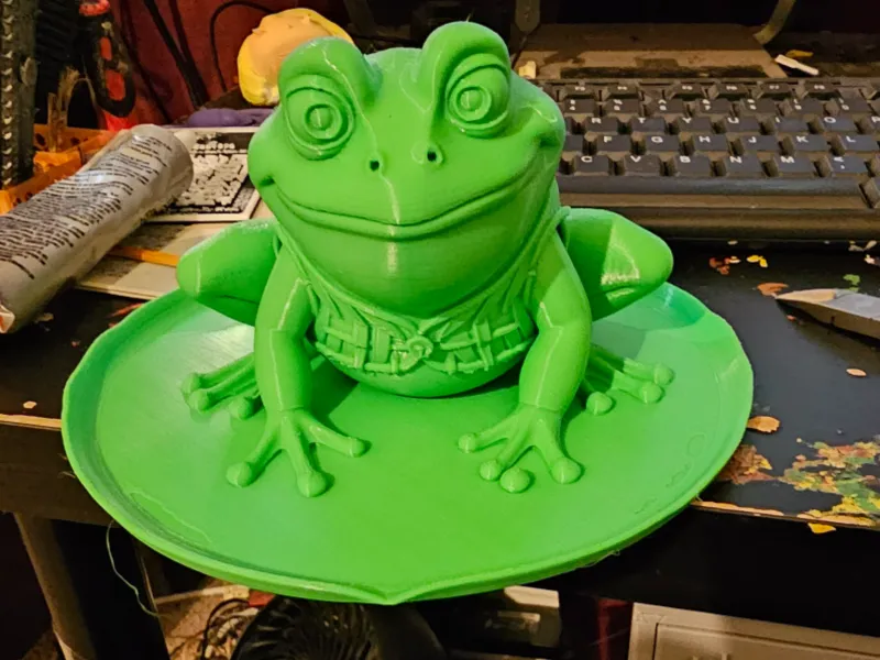 Grenouille taureau sur nénuphar