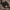 Silhouet Geest Aladdin