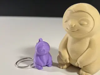 Cute Sloth