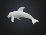 Dolphin Golfinho-0