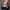 Skull__Clicker