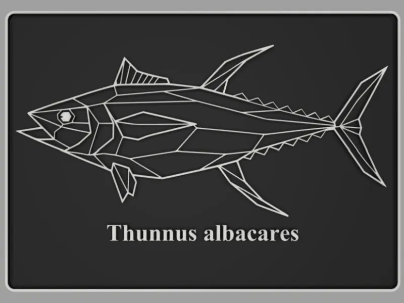Postkarte Gelbflossen-Thunfisch