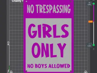 Girls only no trespassing no boys allowed sign Wall Decor
