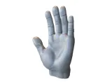 Neutral Hand Base Mesh-0