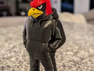 Urban Cardinal