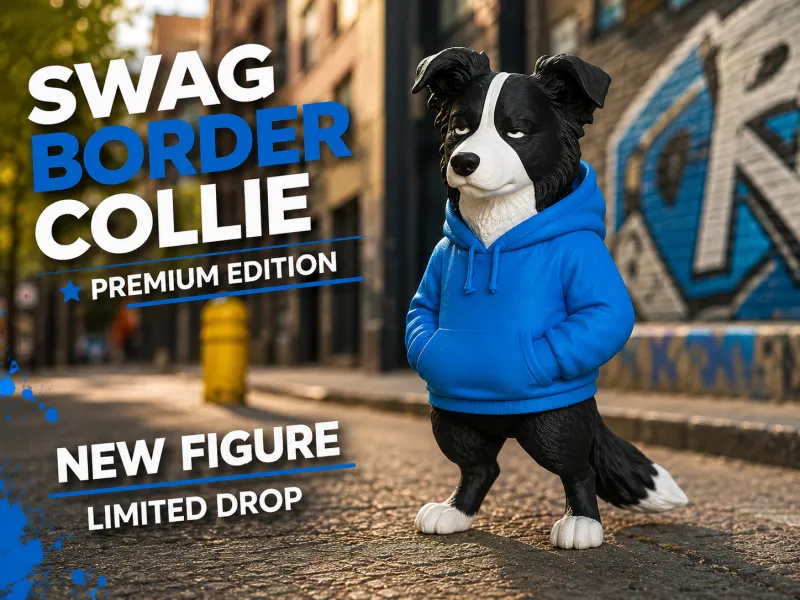 Cool swag Border Collie