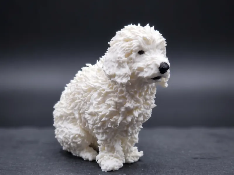 Perro French Poodle