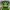 Funko Pop Hulk