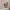 Decoracion de pared - Jigglypuff (CFS/NO CFS)