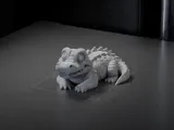 Cute Alligator Smiling Cute Alligator Smiling-0