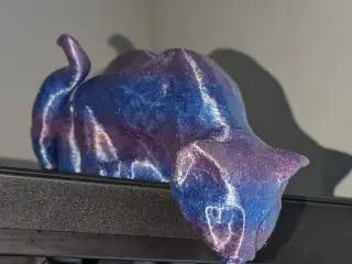 Curious Cat Peeking 