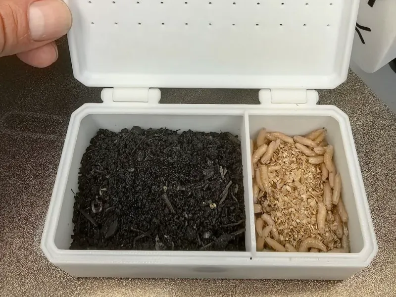 Fishing bait container