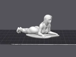 Board - NSFW Surfboard Rider