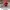 3D Figure Lotso Bear (Toy Story) Collectible Model with Cane