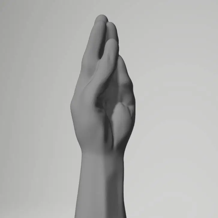 Fisting Dildo THE FISTER