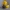 Sweater Duck – Cozy Rubber Ducky Figurine