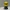 Minion