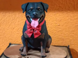 Rottweiler el taller