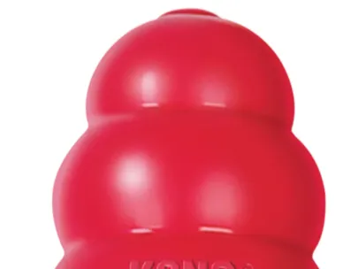 Kong plug (for freezies)