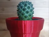 FLOWER POT-0