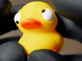 Cute Duck With Big Movable Eyes