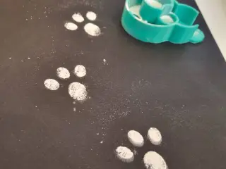 Bunny Footprint Maker