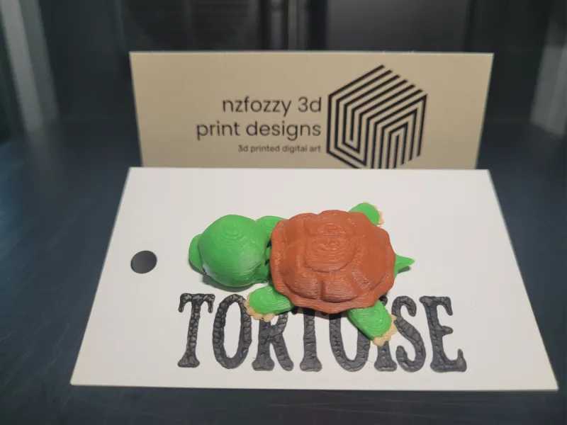 Flexi Baby Tortoise