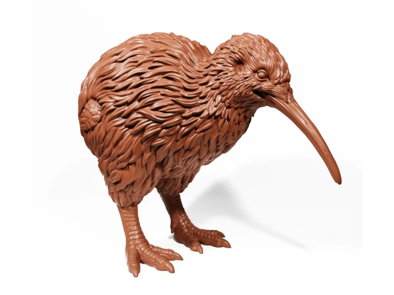 Kiwi brun
