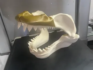 shark_teeth_cr_