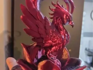 Phoenix & Lotus