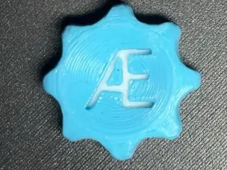 AE maker coin