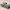 M2 Light Tank tank