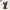 Arnold Schwarzenegger Torso - In delen gesneden