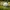 Cracked Golf Ball 💥 – Realistic Prank Toy