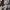 Fox Telefoonstandaard STL | Telefoonhouder