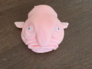 Blob fish