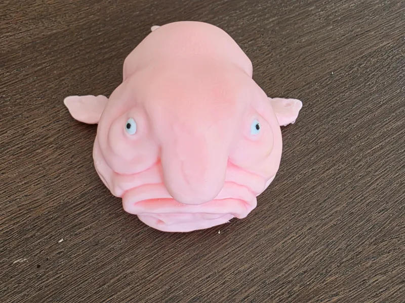 Pez gota