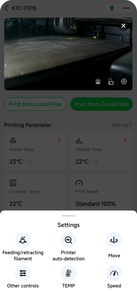 Remote Printing