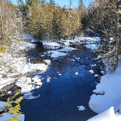 avatar of Muskoka Man 3D Print
