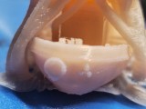 Star Trek Benchy-4